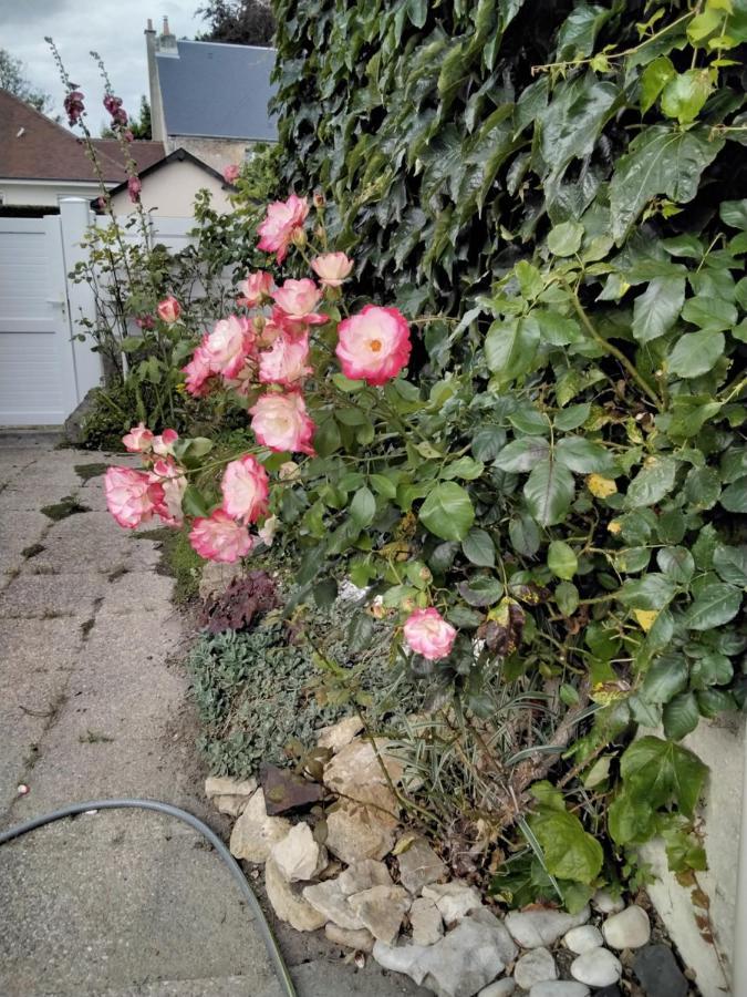 Hortensias Asnelles Luaran gambar